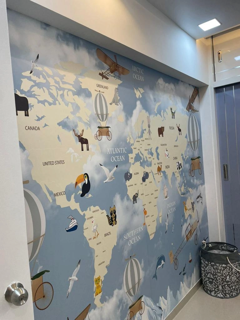 Full wall world map mural in kids room